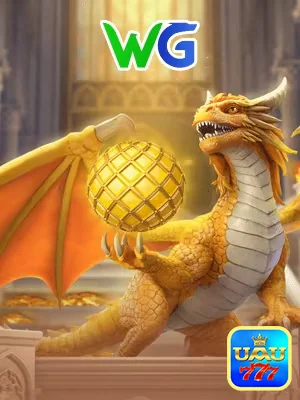 Qualidade e interação no live gaming